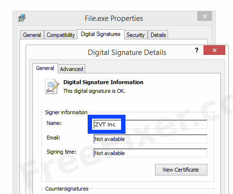 Screenshot of the ZVT Inc. certificate